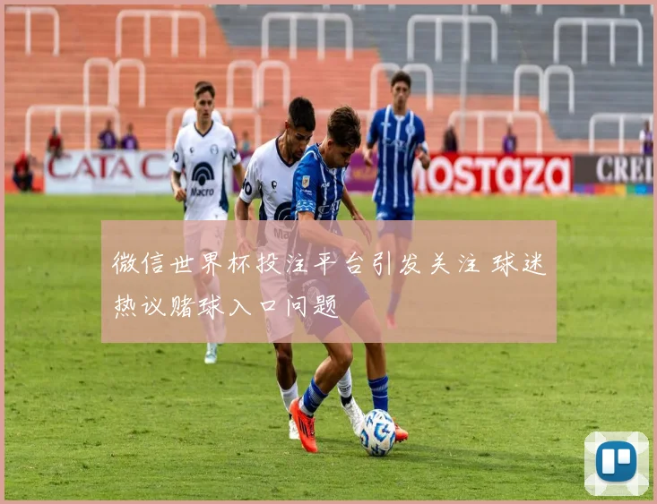 微信世界杯投注平台引发关注 球迷热议赌球入口问题