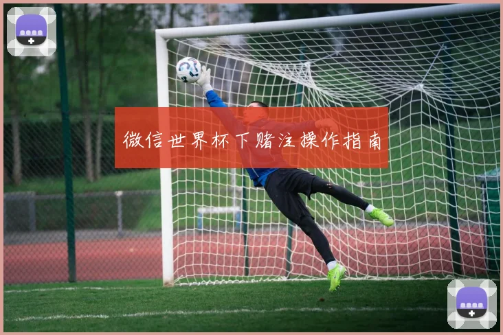 微信世界杯下赌注操作指南